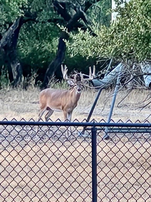 400 Indian Hills Road Gatesville, TX 76528 - Photo 31 of 38