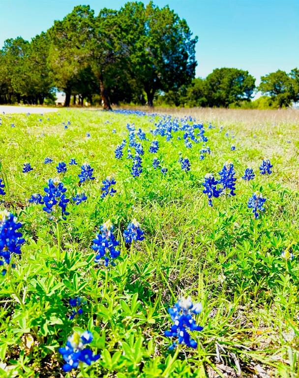 400 Indian Hills Road Gatesville, TX 76528 - Photo 4 of 38