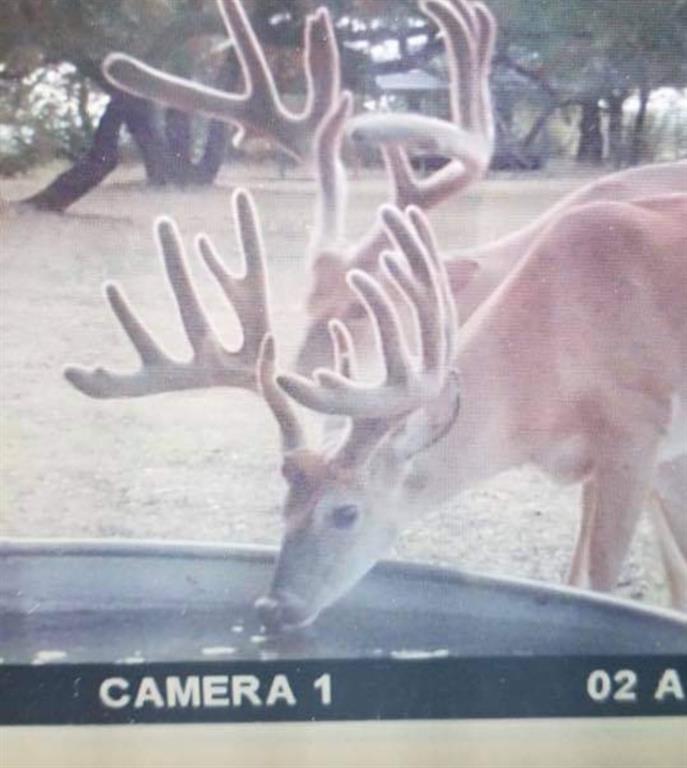 400 Indian Hills Road Gatesville, TX 76528 - Photo 5 of 38