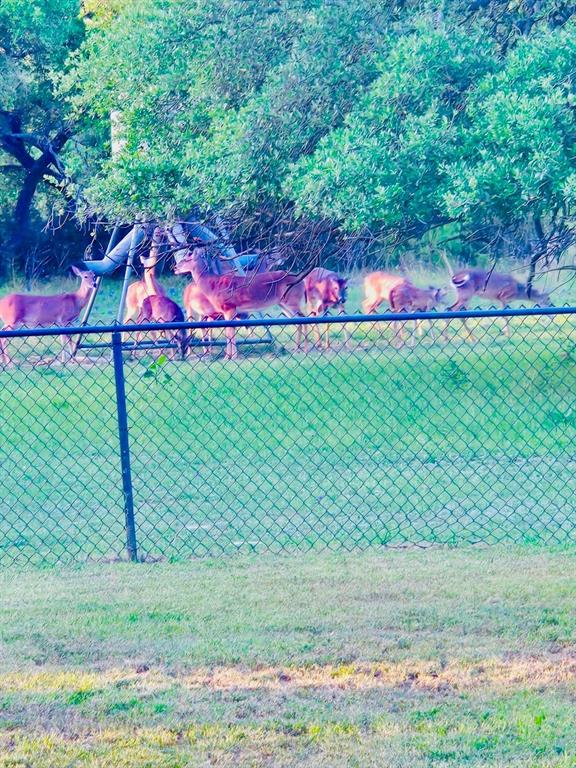 400 Indian Hills Road Gatesville, TX 76528 - Photo 6 of 38