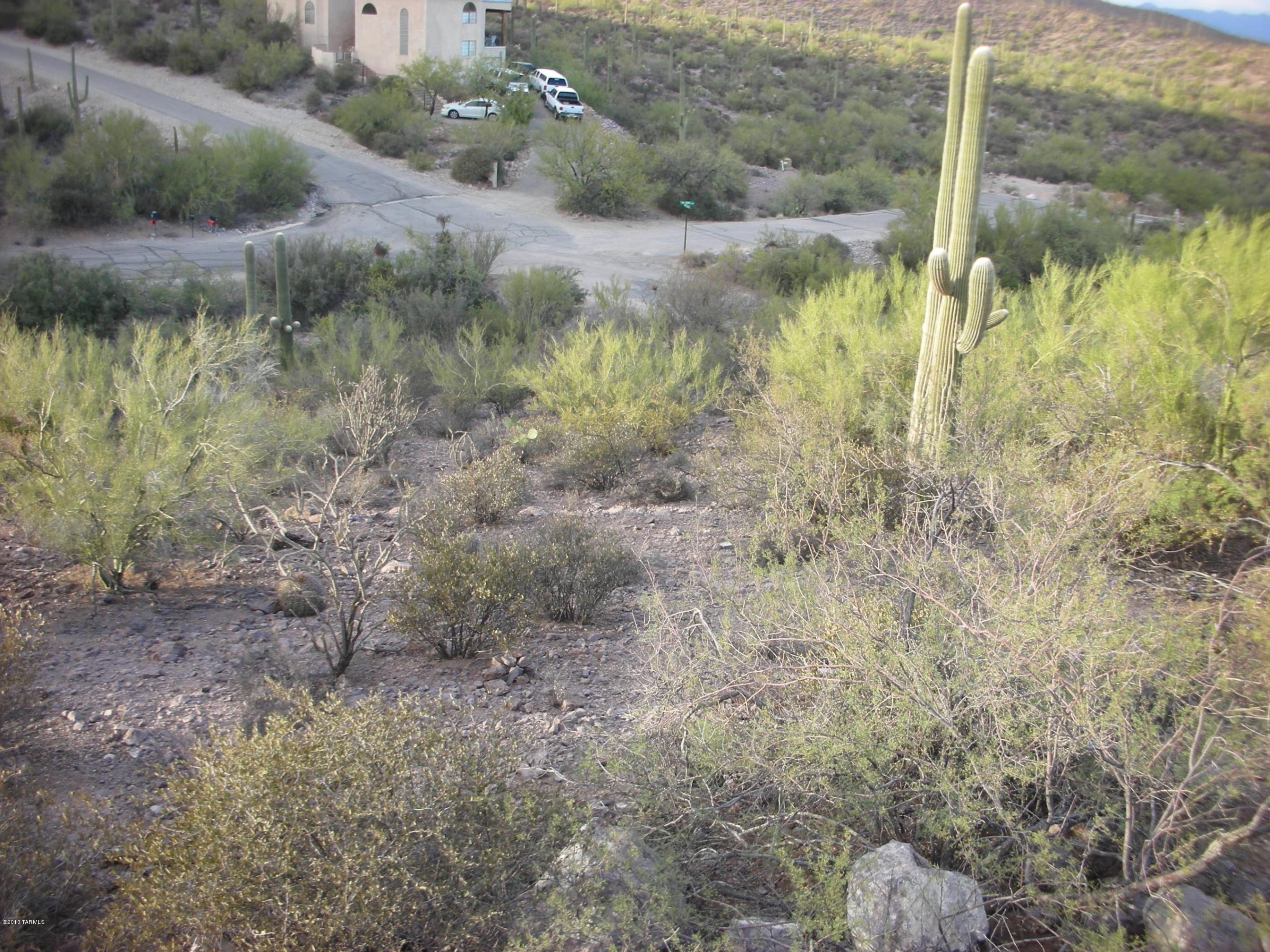 5025 North Vía Roma Tucson, AZ 85745 - Photo 4 of 10 a view of a forest with a street