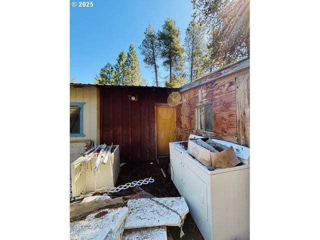 a room with furniture and a potted plant