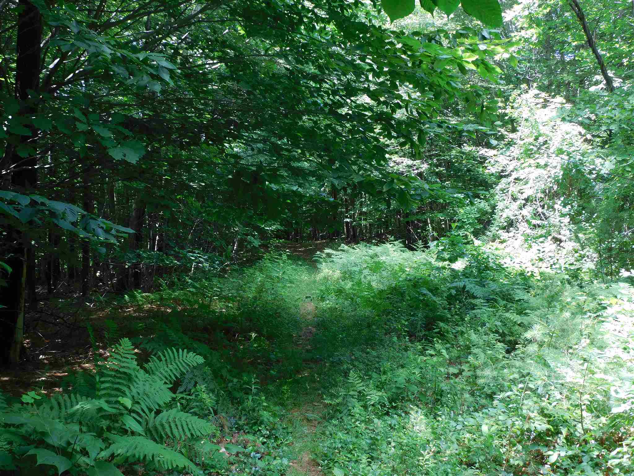 0 White Ash Road Holderness, NH 03245 - Photo 2 of 4 Gallery Image 2