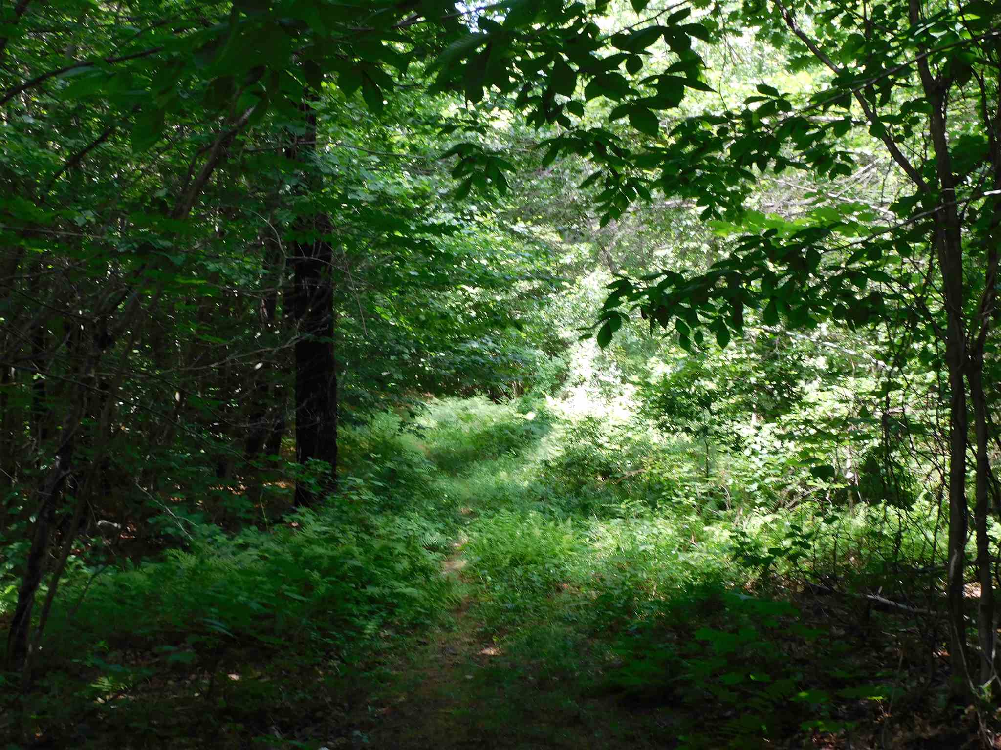 0 White Ash Road Holderness, NH 03245 - Photo 3 of 4 Gallery Image 3