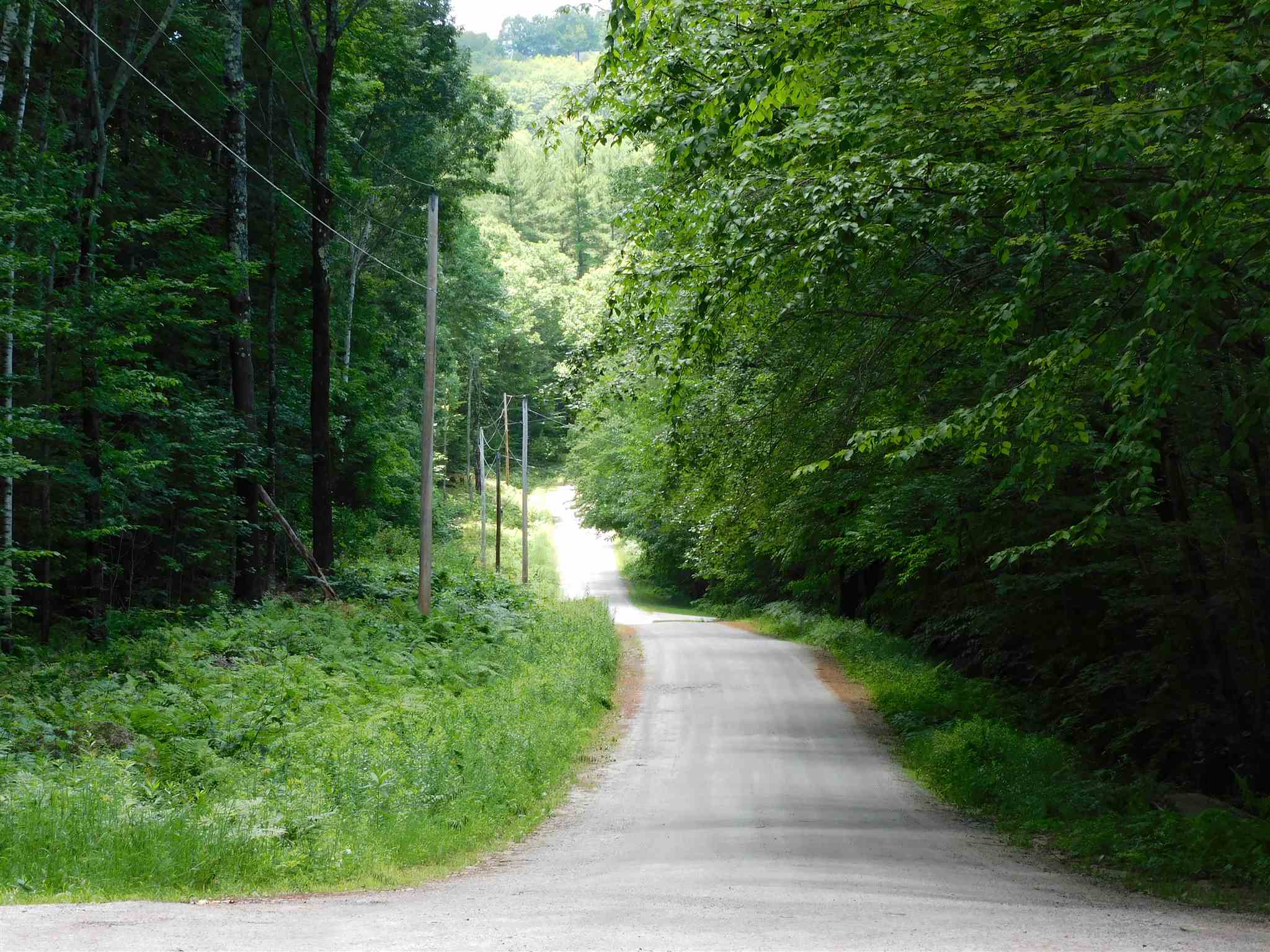 0 White Ash Road Holderness, NH 03245 - Photo 4 of 4 Gallery Image 4