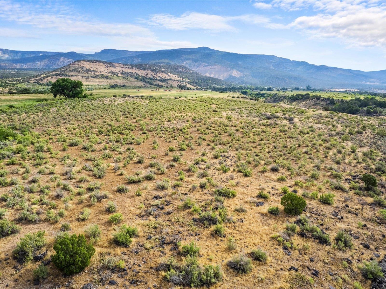 5681 Purdy Mesa Road Whitewater, CO 81527 - Photo 12 of 12 a view of an outdoor space with mountain