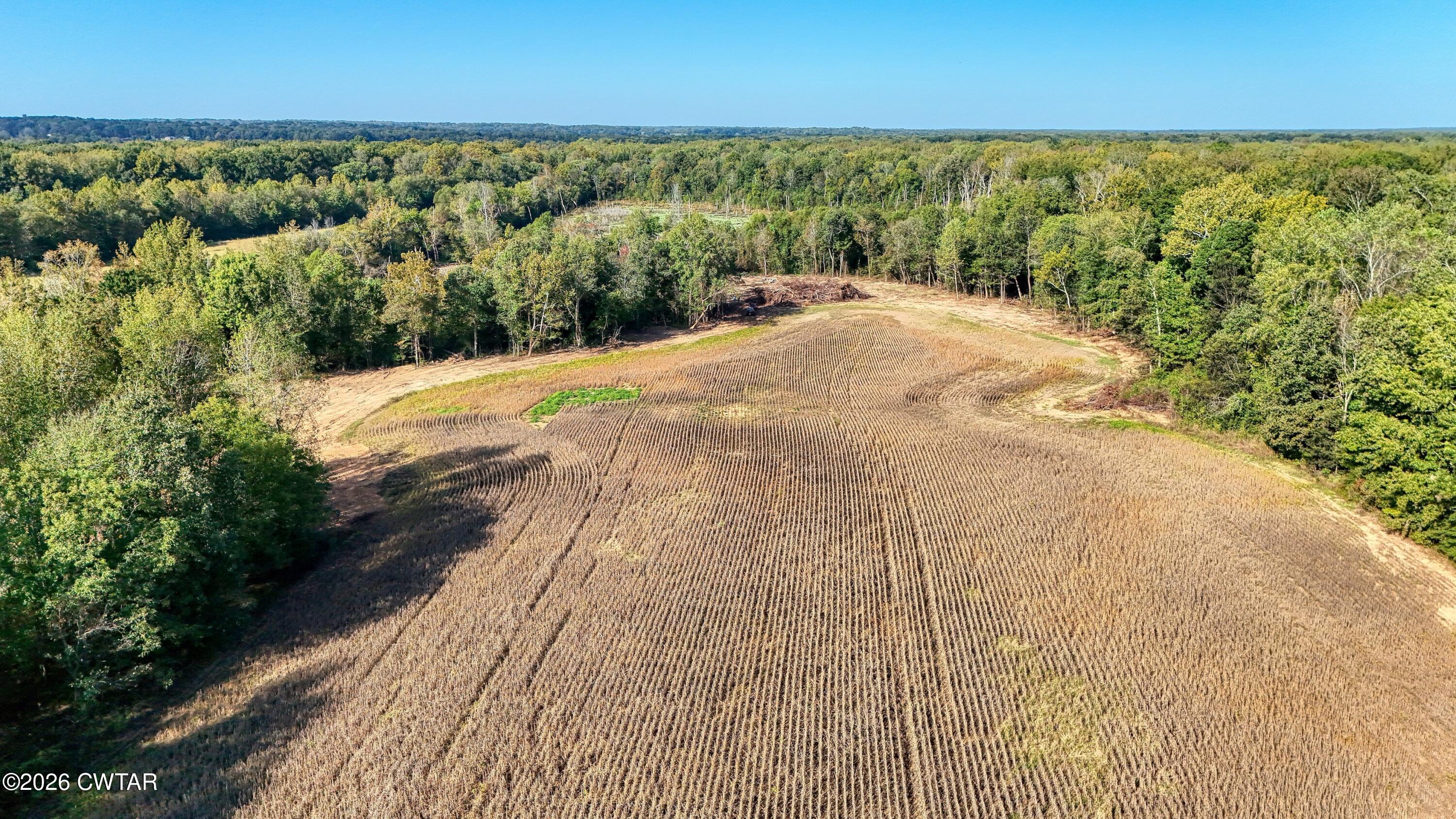 0 West Mitchell Road, Unit 1 Greenfield, TN 38230 - Photo 7 of 9 DJI_20251003094352_0012_D