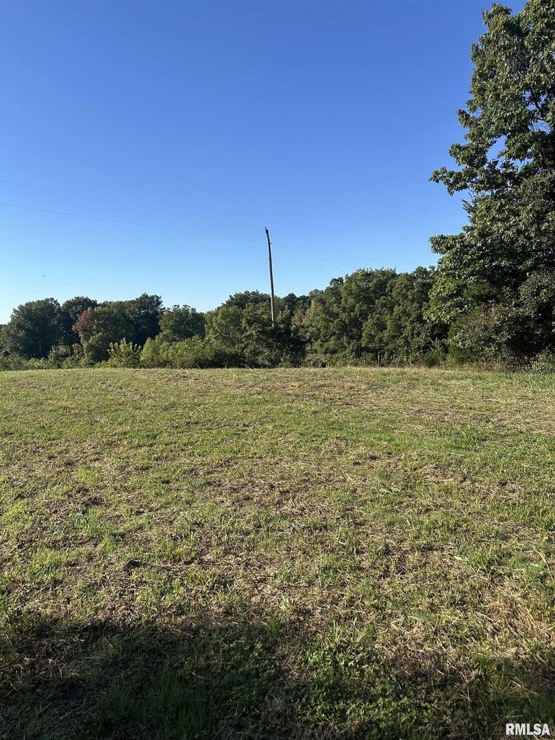 0 Center Church Road Olmsted, IL 62996 - Photo 2 of 7 a view of a lake view