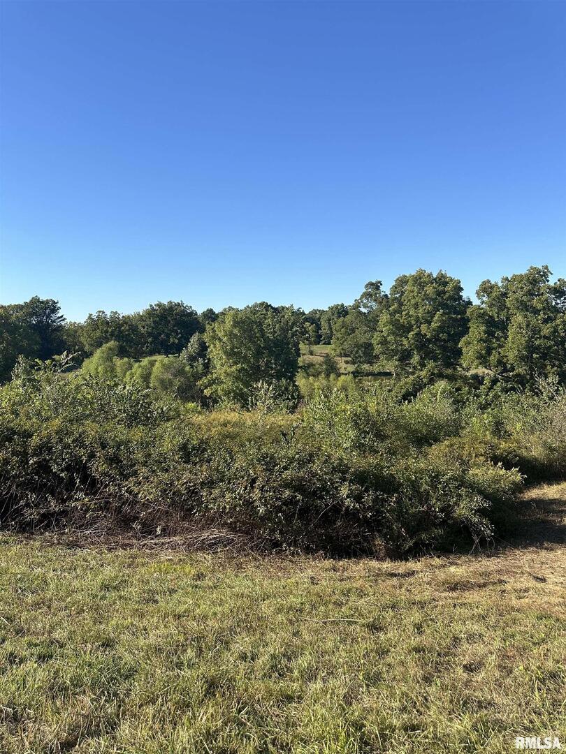 0 Center Church Road Olmsted, IL 62996 - Photo 4 of 7 a view of a bunch of trees and bushes