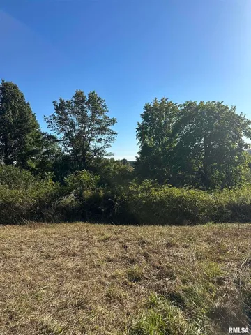 a view of outdoor space and yard