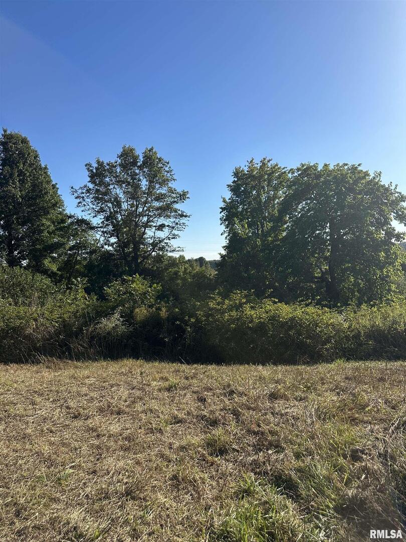 0 Center Church Road Olmsted, IL 62996 - Photo 5 of 7 a view of outdoor space and yard