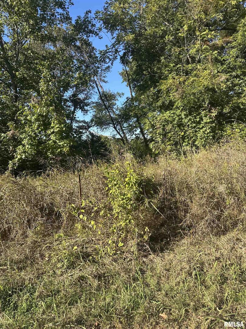 0 Center Church Road Olmsted, IL 62996 - Photo 7 of 7 a view of a tree