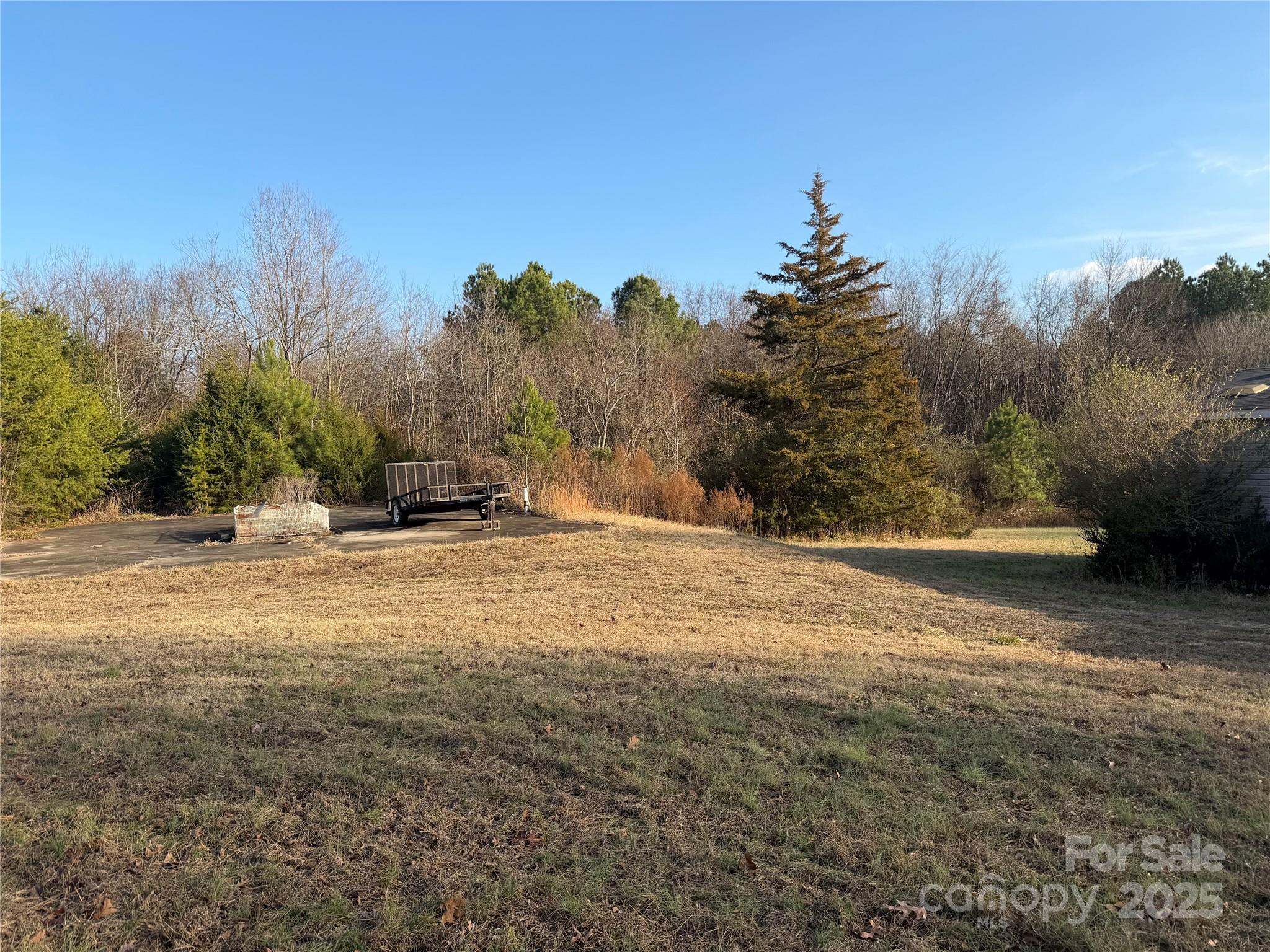 216 Pinecone Road Peachland, NC 28133 - Photo 4 of 5 a view of dirt field with trees in the background