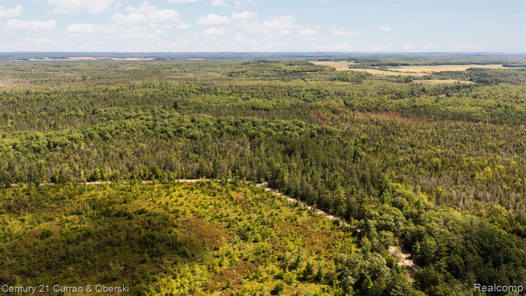 3265 Roost Road Onaway, MI 49765 - Photo 46 of 51