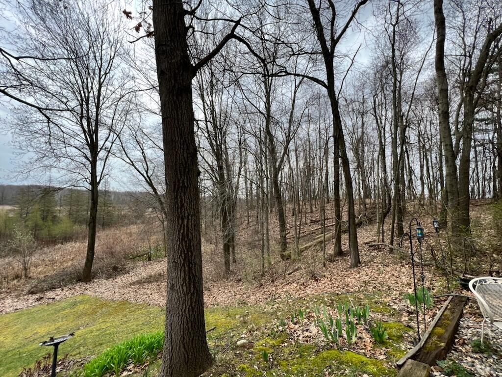10221 West Guernsey Lake Road Delton, MI 49046 - Photo 17 of 31 83934077-