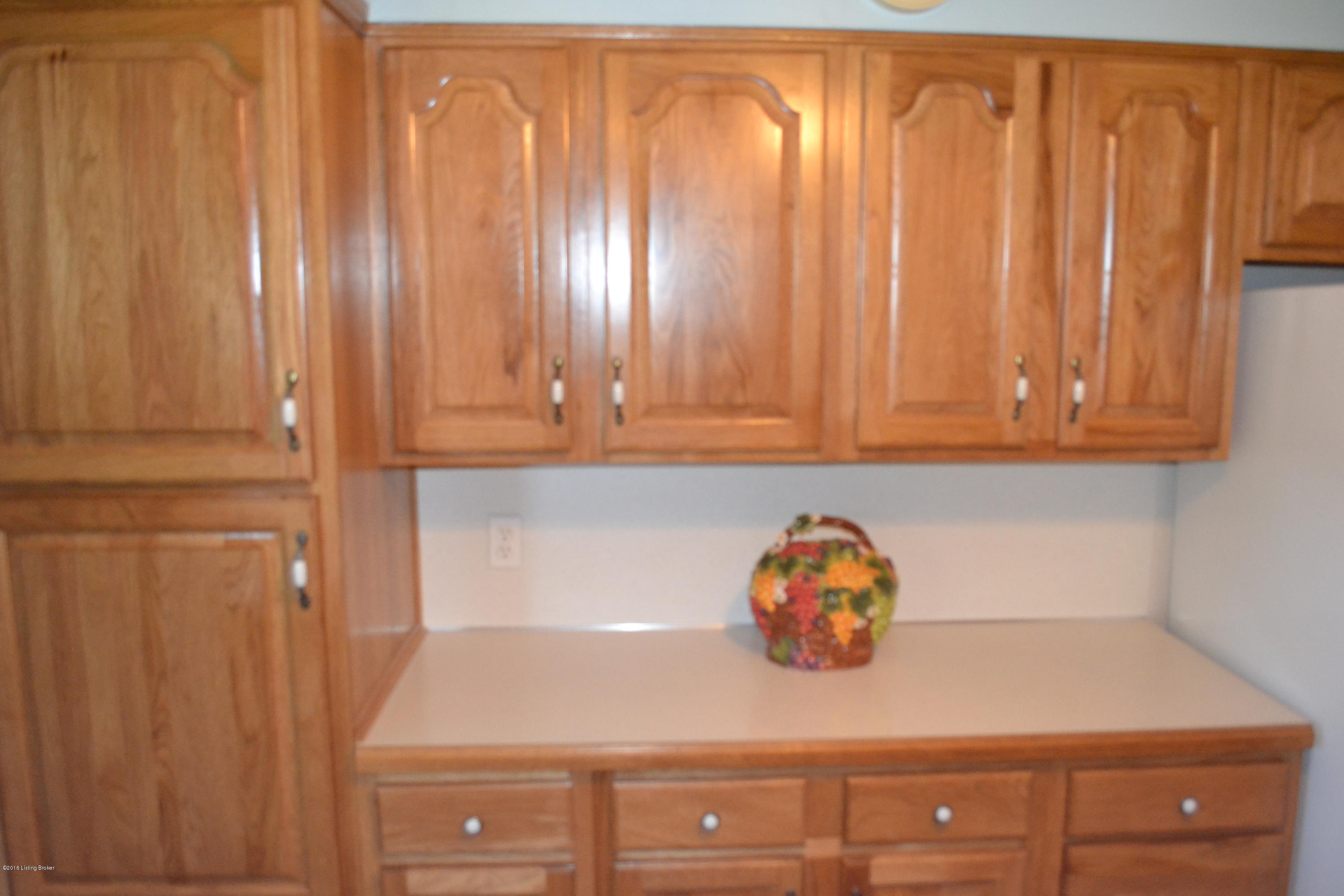 8507 Eula Road Louisville, KY 40219 - Photo 11 of 28 EIK - View 3
