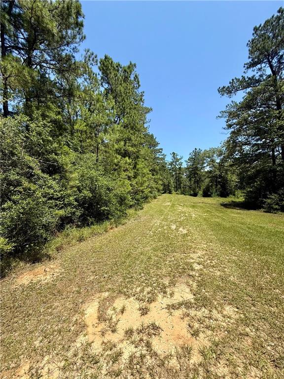 0 Lake Choctaw Road Franklinton, LA 70438 - Photo 1 of 5