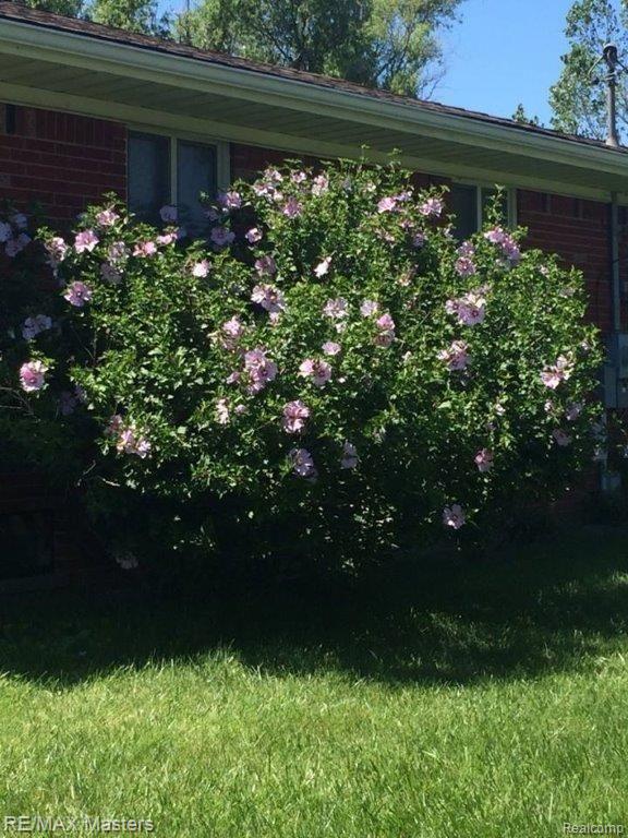 1939 East Sigler Road Carleton, MI 48117 - Photo 46 of 52 Rose of Sharon 1.jpg