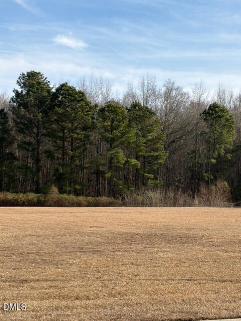 660 East Jackson Boulevard Erwin, NC 28339 - Photo 2 of 10 3