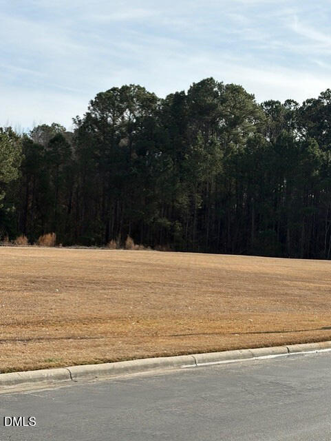 660 East Jackson Boulevard Erwin, NC 28339 - Photo 3 of 10 4