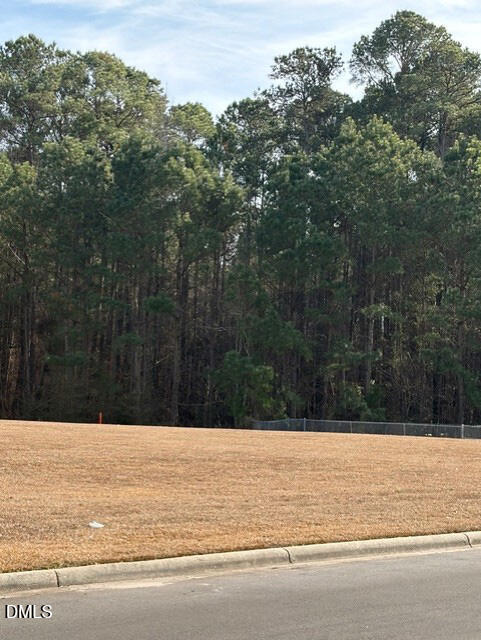 660 East Jackson Boulevard Erwin, NC 28339 - Photo 4 of 10 5