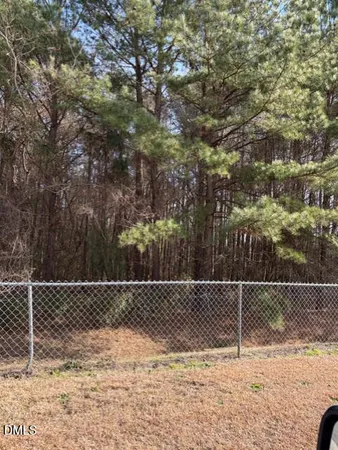 a view of a yard