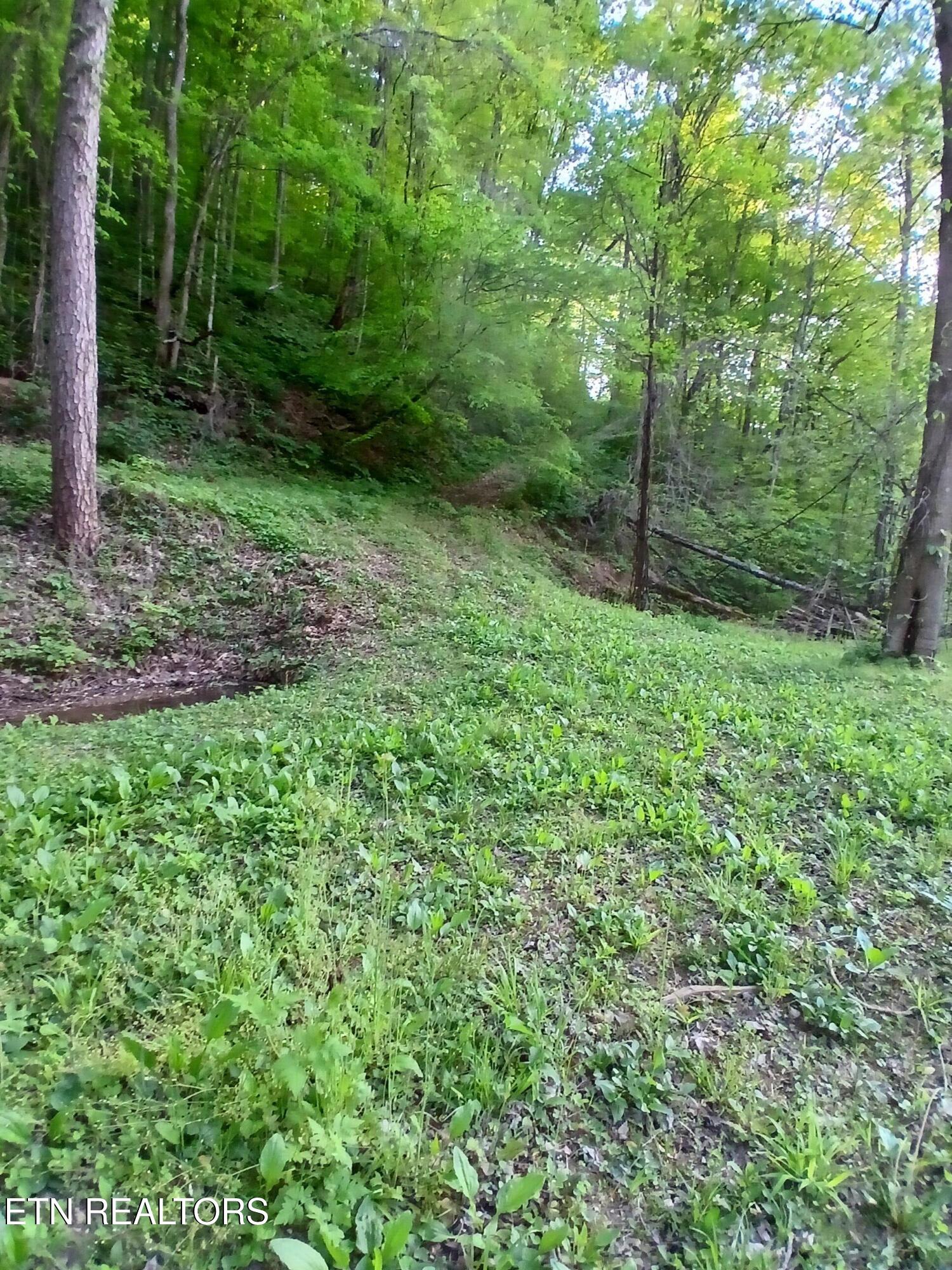469 Brownlo Road Sneedville, TN 37869 - Photo 41 of 58 20260427_192345