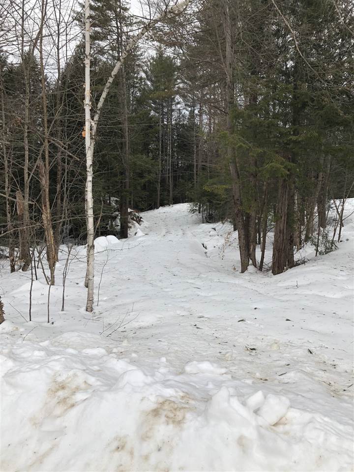 3215 Trebo Road Chester, VT 05143 - Photo 2 of 2