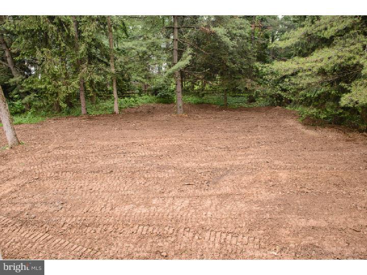 1017 West King Road Malvern, PA 19355 - Photo 25 of 25 Back Yard