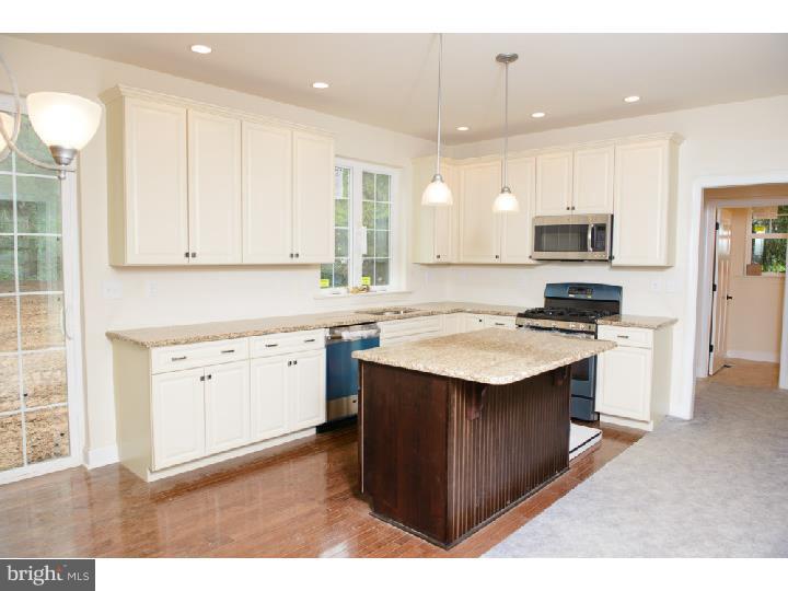 1017 West King Road Malvern, PA 19355 - Photo 8 of 25 Kitchen