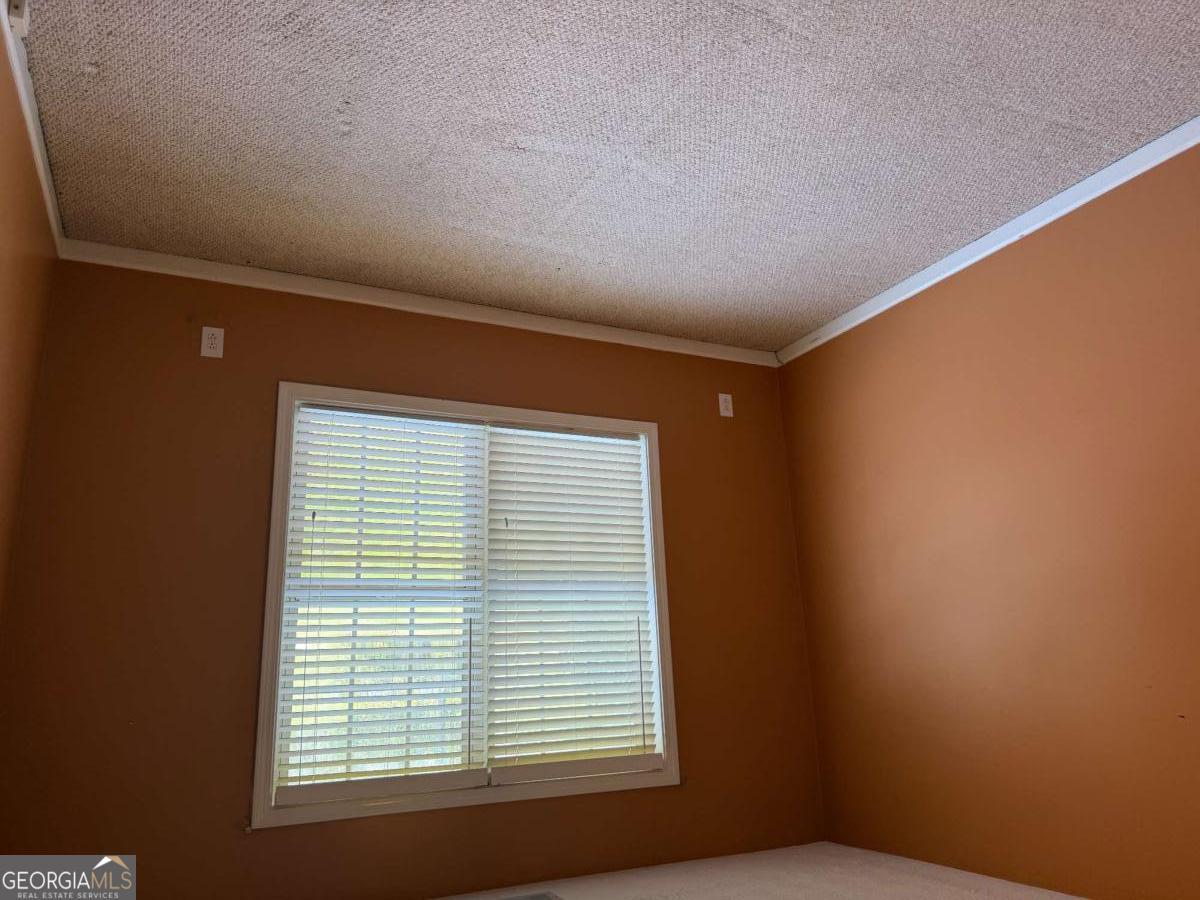 6379 Magnetic Point, Unit 134 Flowery Branch, GA 30542 - Photo 10 of 22