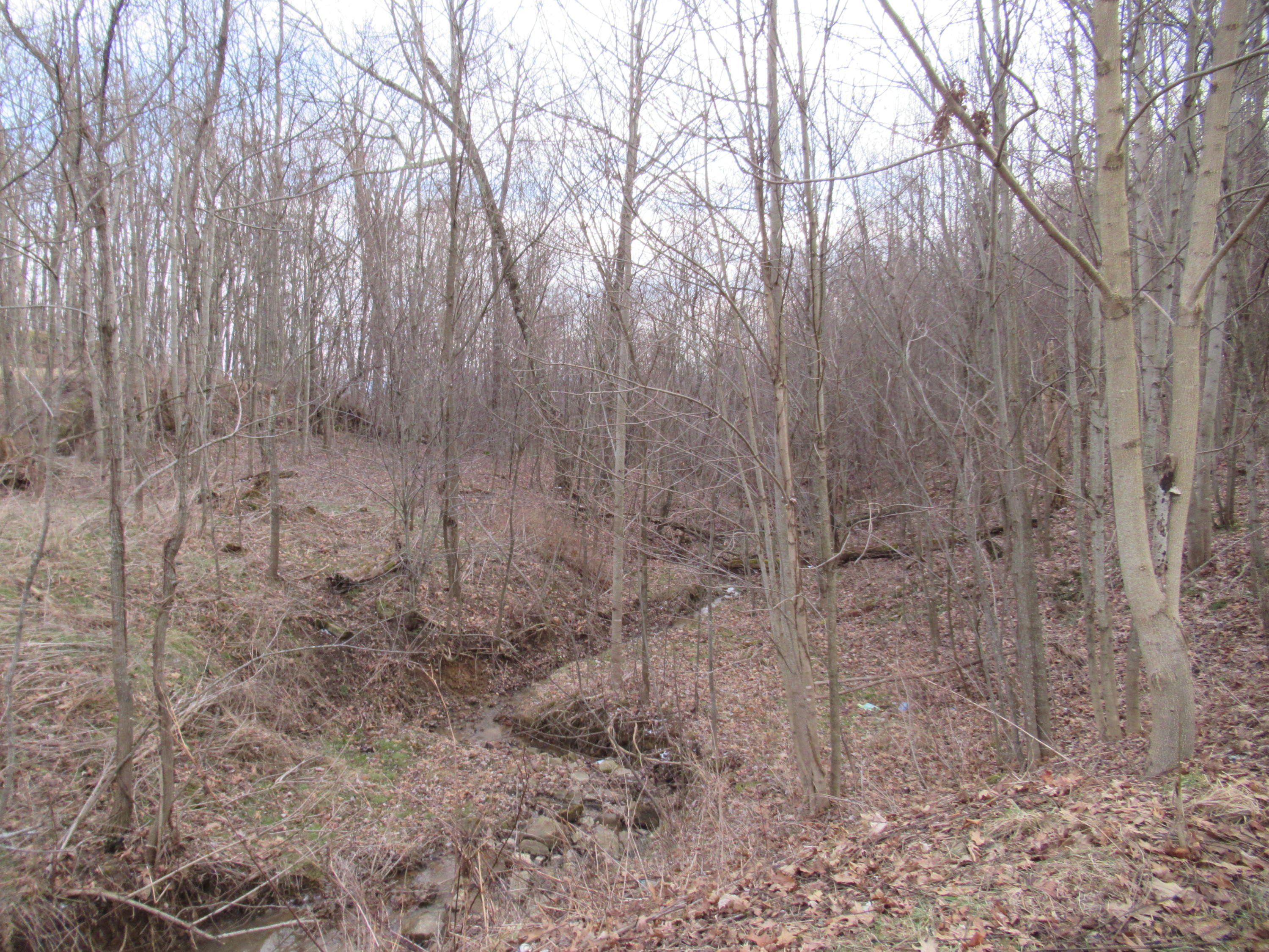 Loudermilk Road Crawley, WV 24931 - Photo 4 of 17 Gallery Image 4