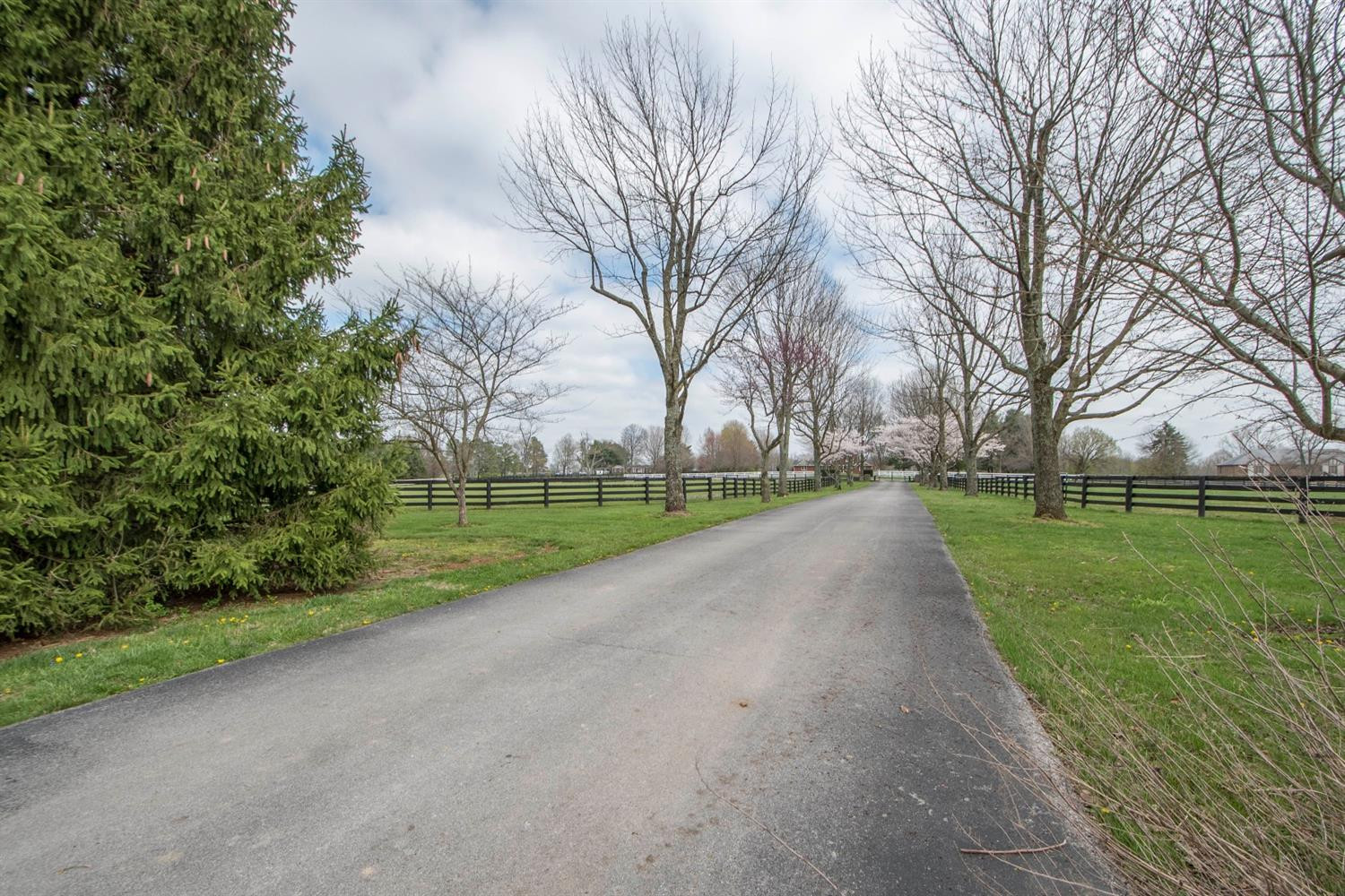 371 Harp Innis Road Lexington, KY 40511 - Photo 53 of 60 Photo 53