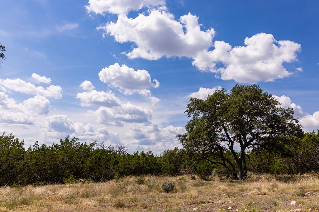 398 Dark Sky Path Kerrville, TX 78028 - Photo 15 of 37
