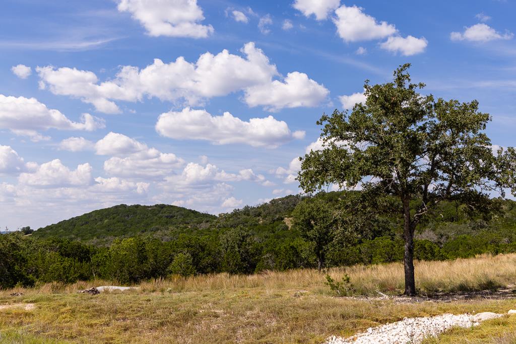 398 Dark Sky Path Kerrville, TX 78028 - Photo 19 of 37