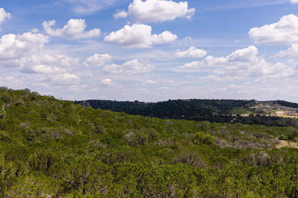 398 Dark Sky Path Kerrville, TX 78028 - Photo 6 of 37