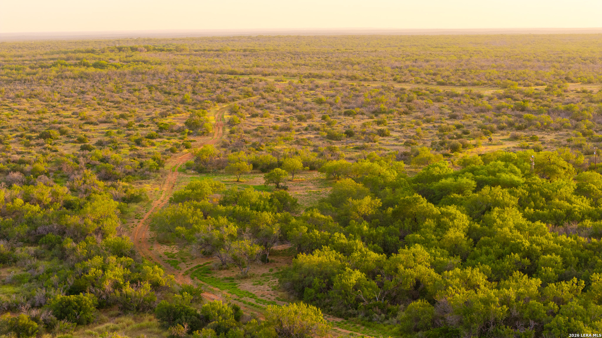 1909 Hubbard Road Cotulla, TX 78014 - Photo 36 of 50 Gallery Image 36
