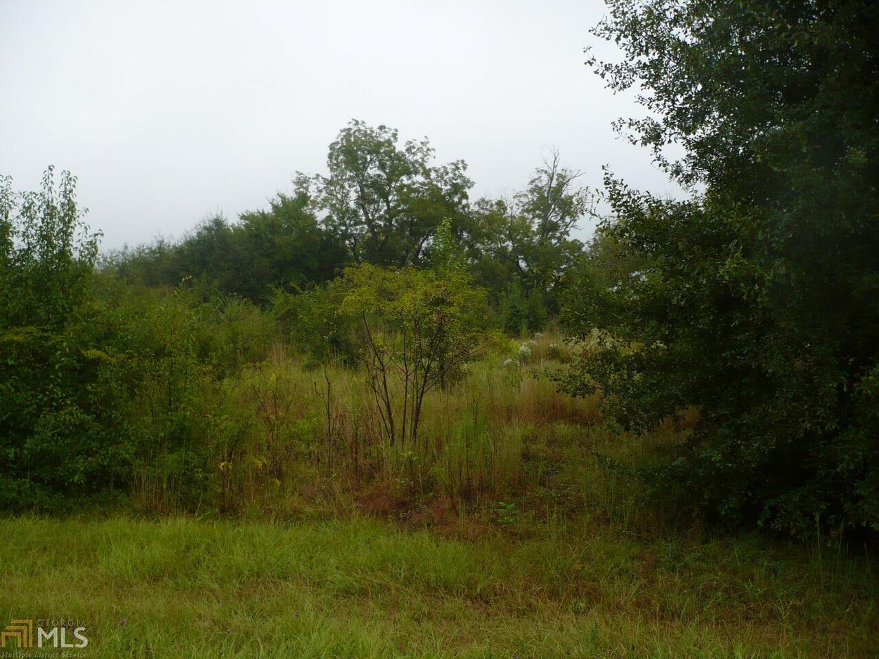 3173 Bartley Road West Point, GA 31833 - Photo 1 of 1 a view of a yard