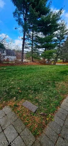 a view of a yard with a tree