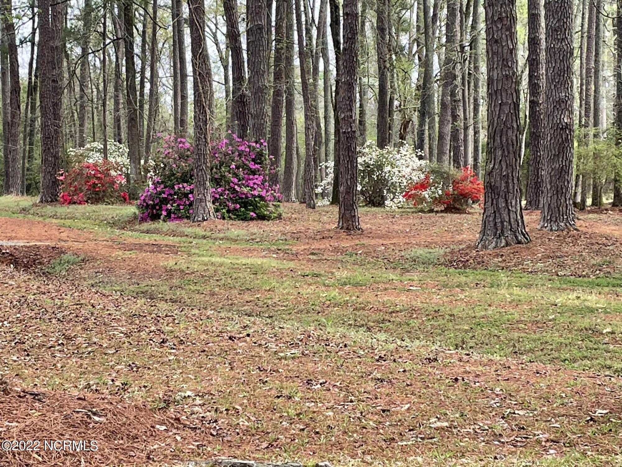 5346 Colonial Road Macclesfield, NC 27852 - Photo 30 of 50 IMG_2445 2