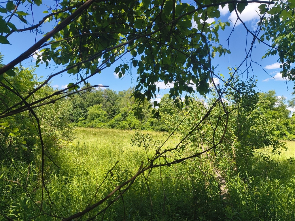Lot 3 Holcomb Road Chester, MA 01011 - Photo 4 of 5