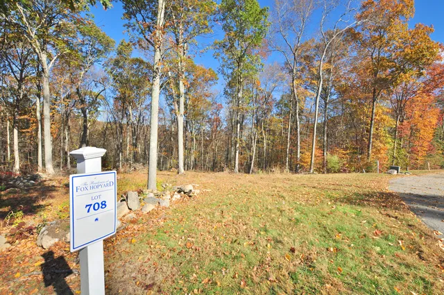 a view of road with large trees