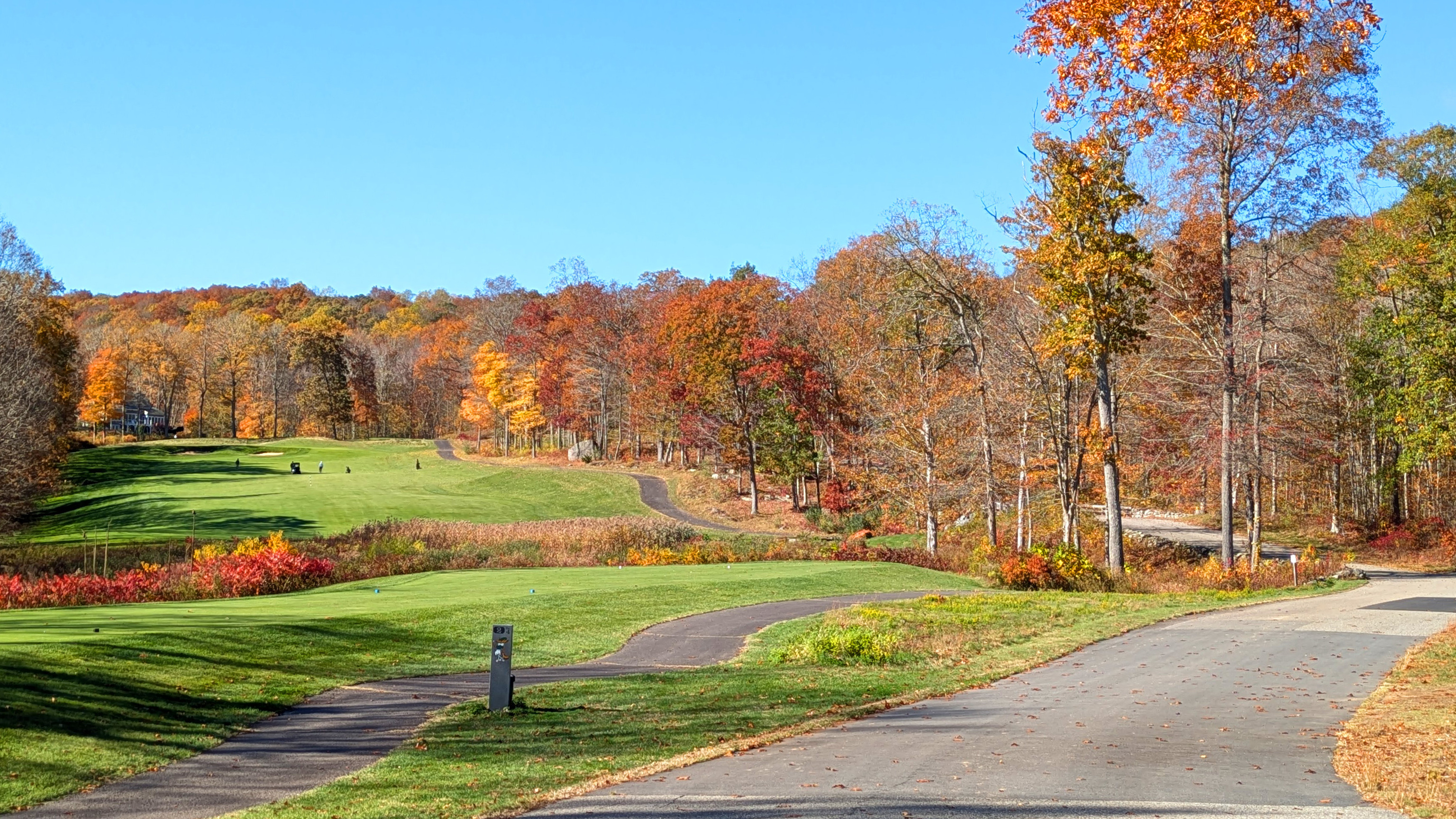 708 Fox Hopyard Road East Haddam, CT 06423 - Photo 11 of 31 a view of a grassy field with trees