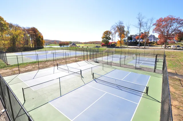 a view of a house with swimming pool and furniture