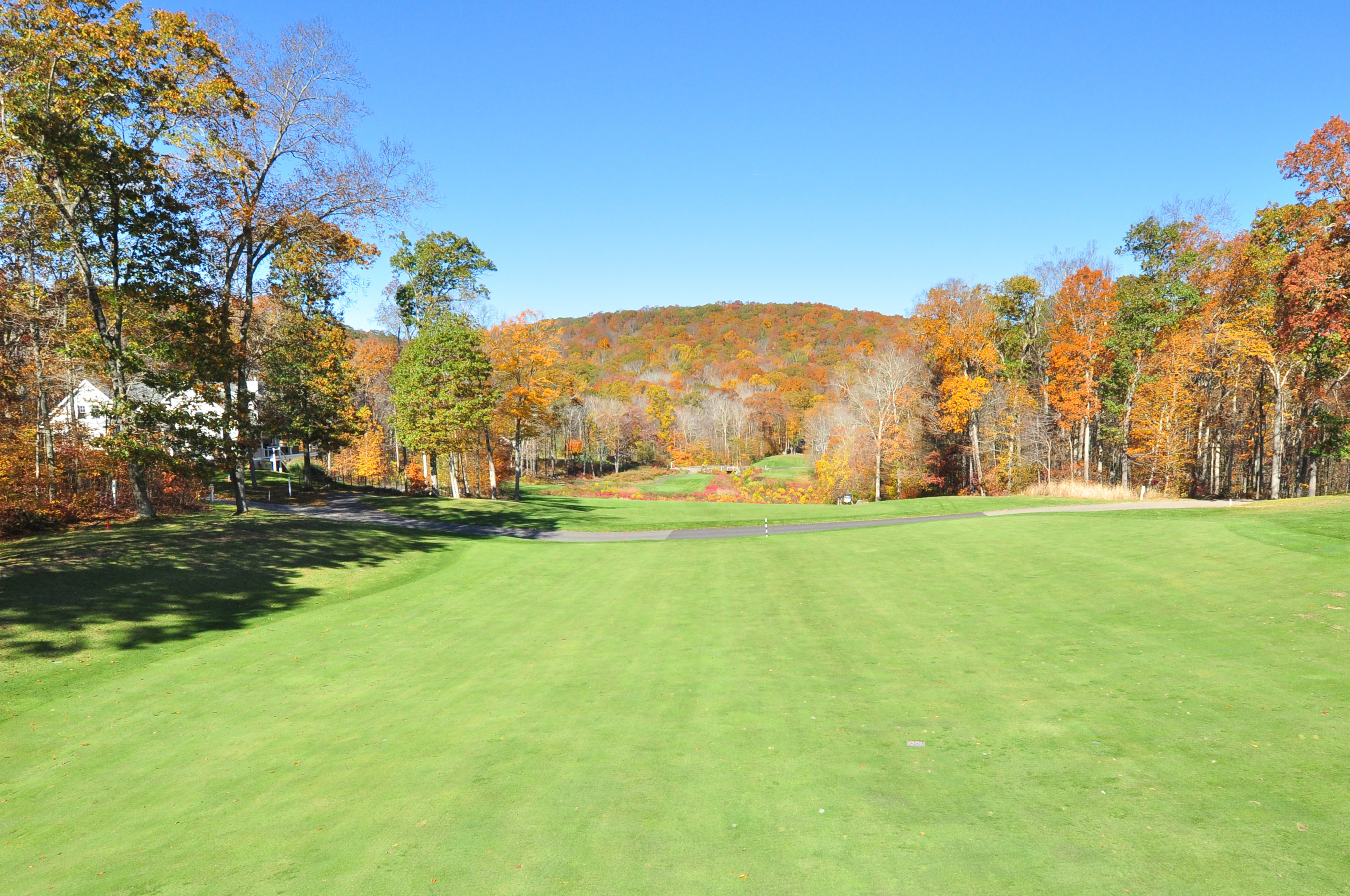708 Fox Hopyard Road East Haddam, CT 06423 - Photo 4 of 31 a view of an outdoor space