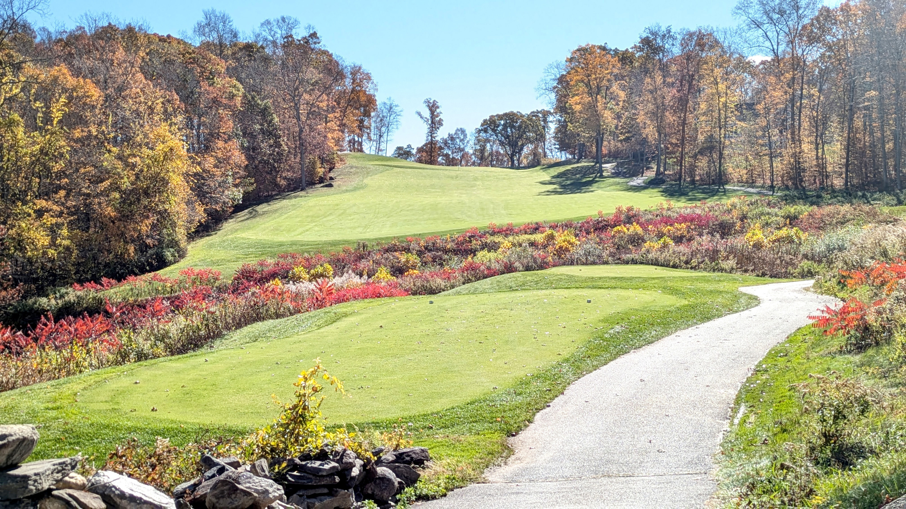 708 Fox Hopyard Road East Haddam, CT 06423 - Photo 9 of 31 a view of a park with large trees