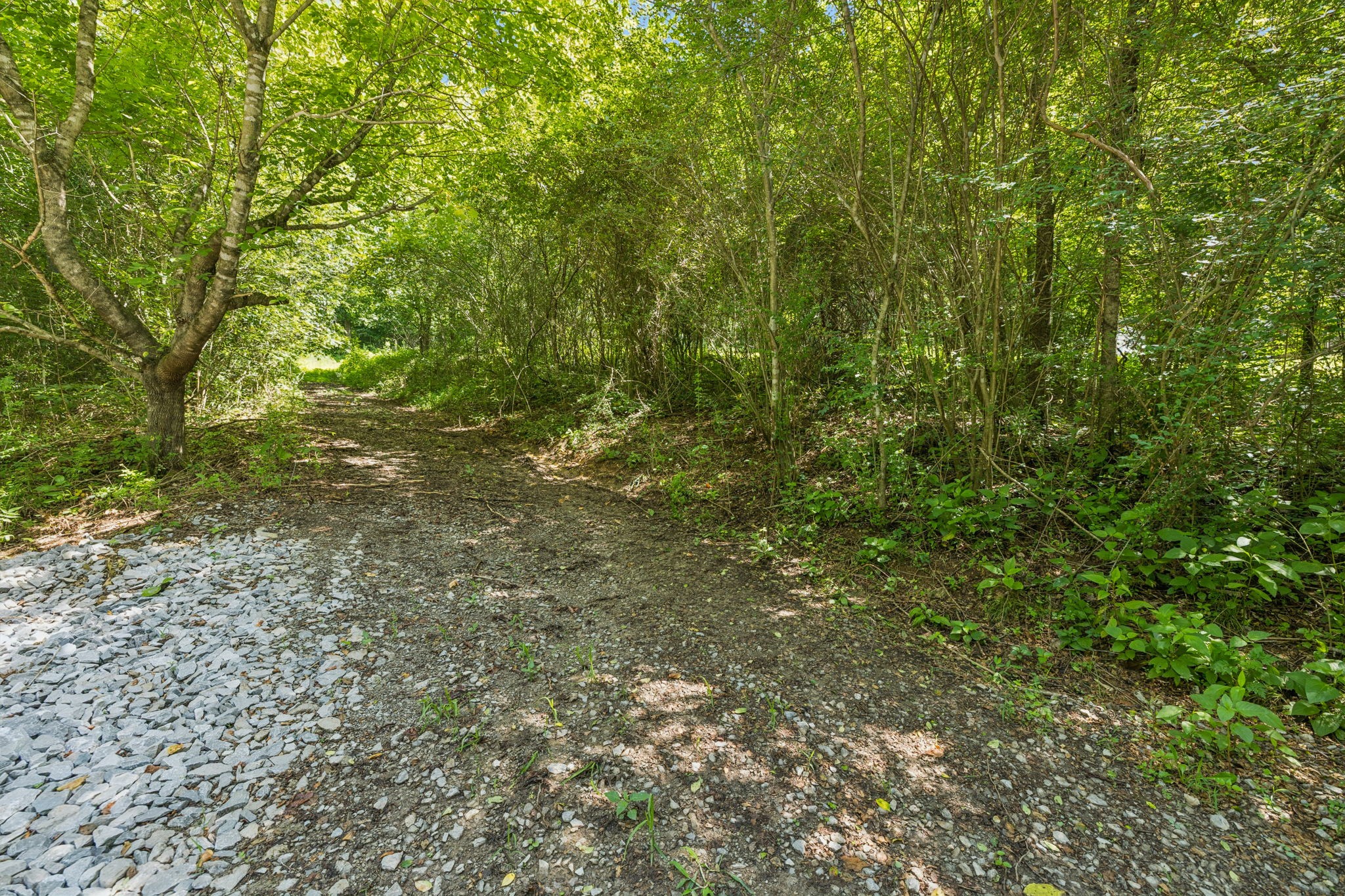 0 Roberts Ridge Road Manchester, TN 37355 - Photo 3 of 26