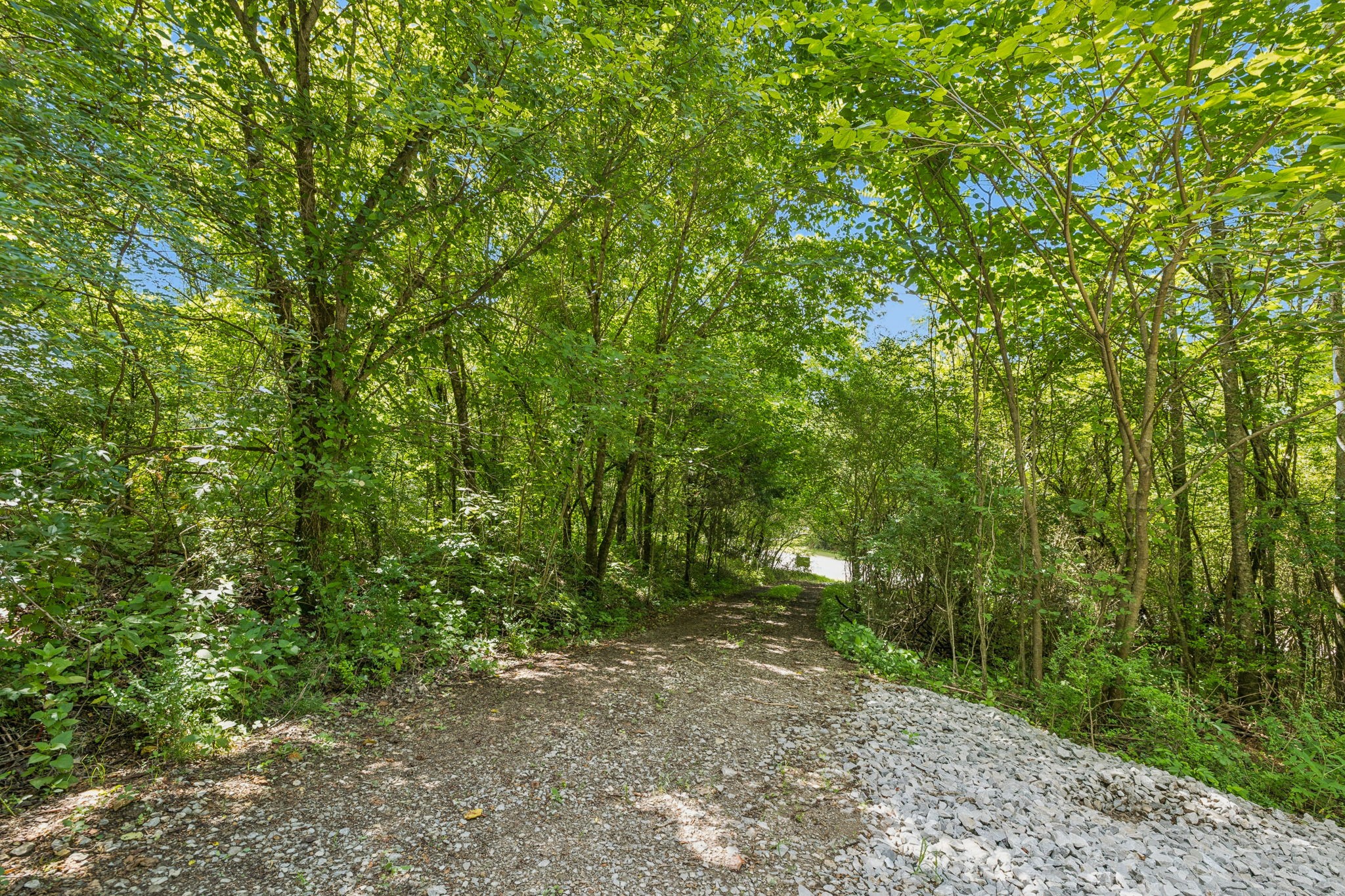 0 Roberts Ridge Road Manchester, TN 37355 - Photo 4 of 26