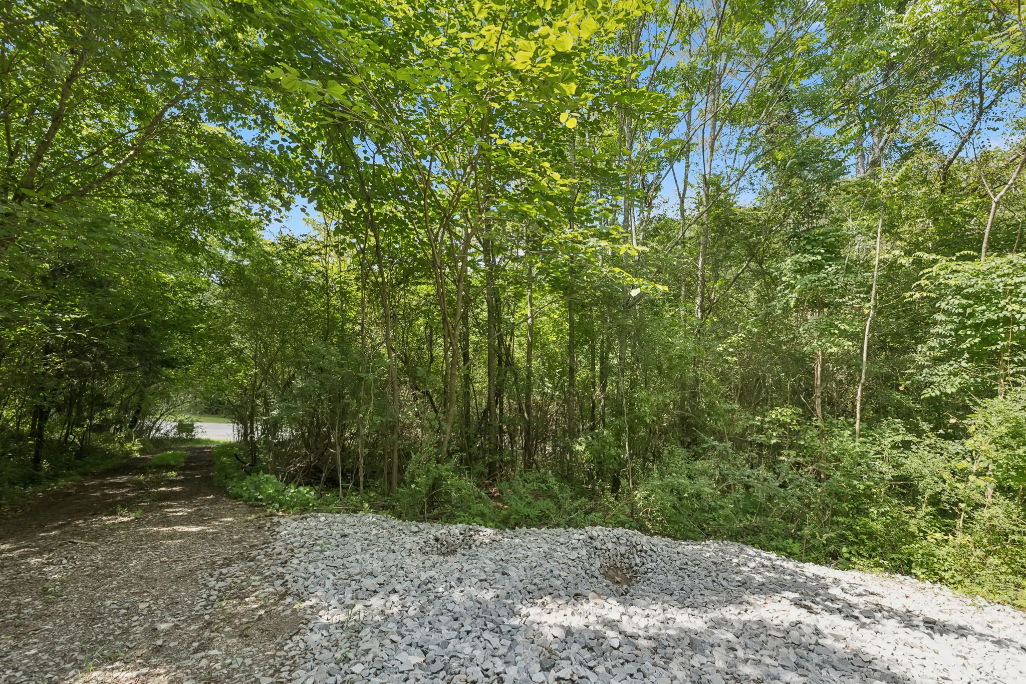 0 Roberts Ridge Road Manchester, TN 37355 - Photo 5 of 26