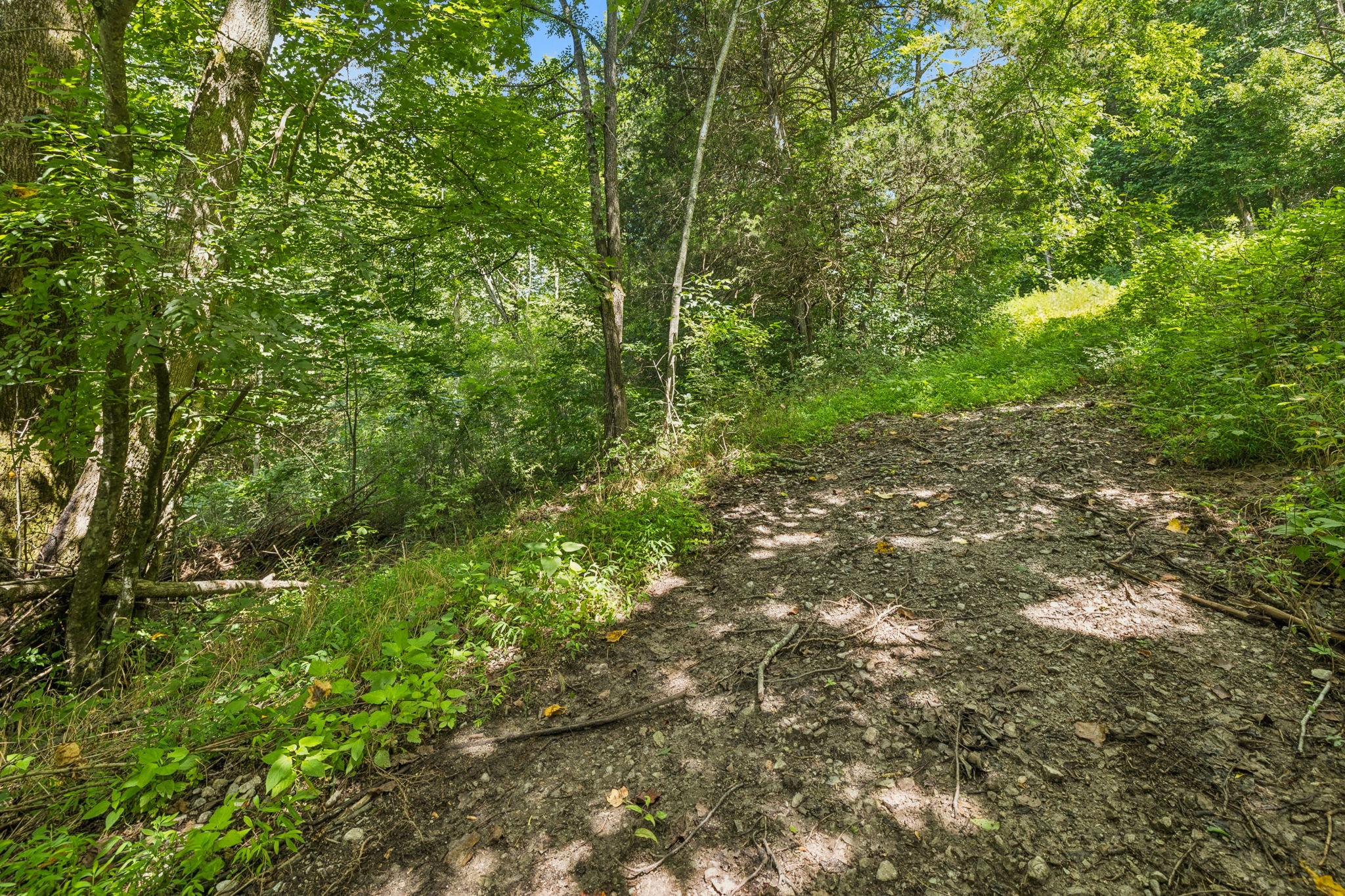 0 Roberts Ridge Road Manchester, TN 37355 - Photo 6 of 26